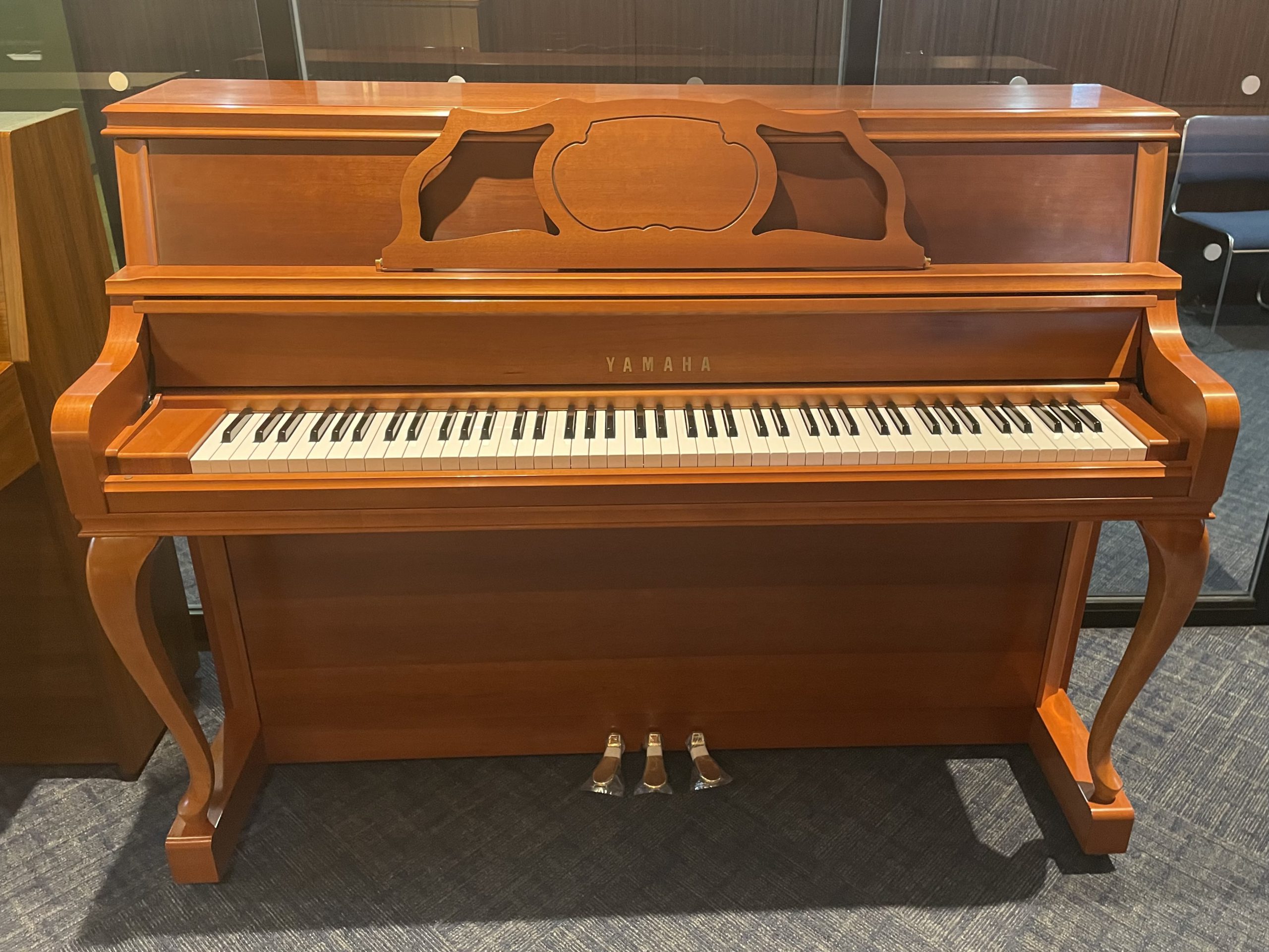 YF101C
